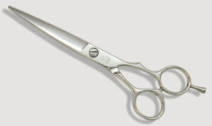 Model E6